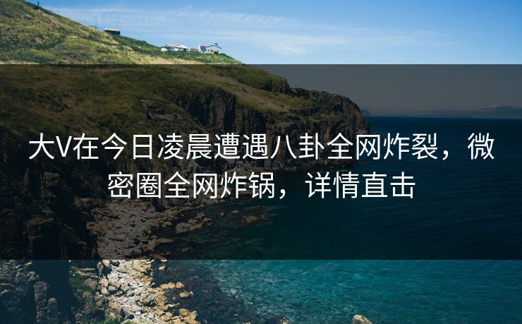 大V在今日凌晨遭遇八卦全网炸裂，微密圈全网炸锅，详情直击