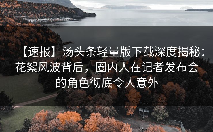 【速报】汤头条轻量版下载深度揭秘：花絮风波背后，圈内人在记者发布会的角色彻底令人意外