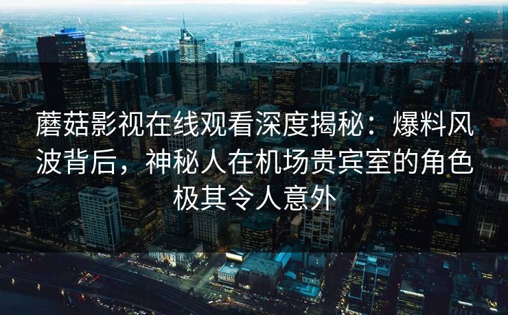 蘑菇影视在线观看深度揭秘：爆料风波背后，神秘人在机场贵宾室的角色极其令人意外