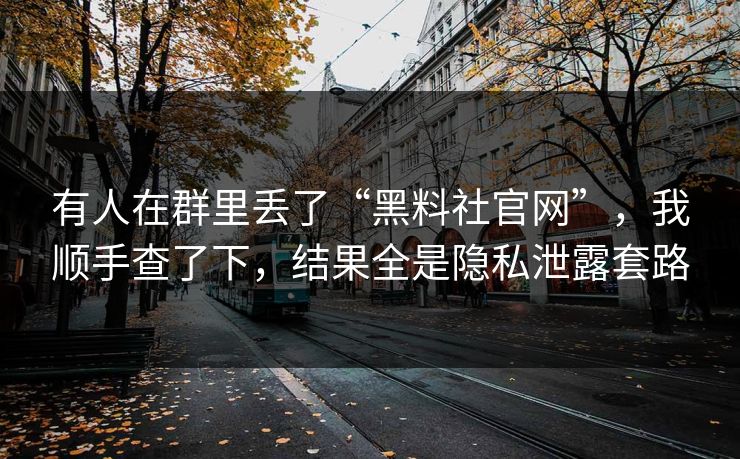 有人在群里丢了“黑料社官网”，我顺手查了下，结果全是隐私泄露套路